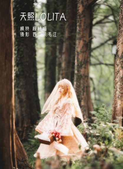 超级教师全集免费完整观看_720免费电视剧